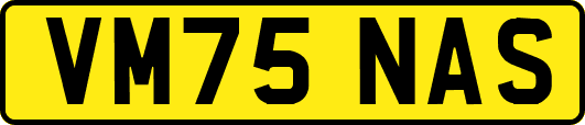 VM75NAS