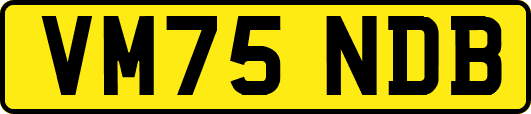 VM75NDB
