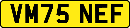 VM75NEF