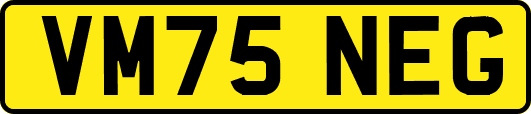 VM75NEG