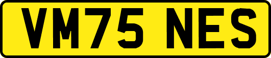 VM75NES