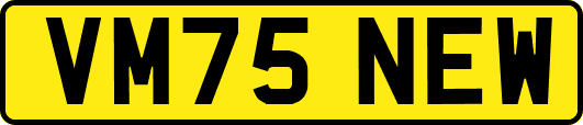 VM75NEW