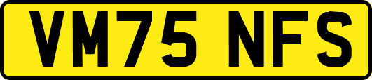 VM75NFS