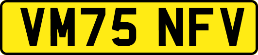 VM75NFV