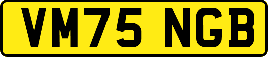 VM75NGB