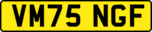 VM75NGF