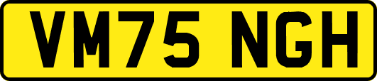 VM75NGH