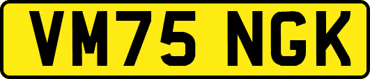 VM75NGK