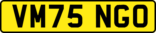 VM75NGO