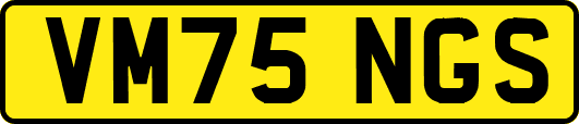 VM75NGS