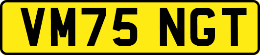 VM75NGT