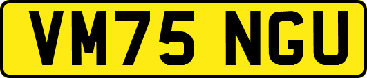 VM75NGU