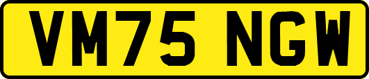 VM75NGW
