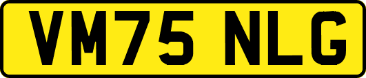 VM75NLG