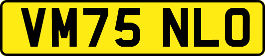 VM75NLO