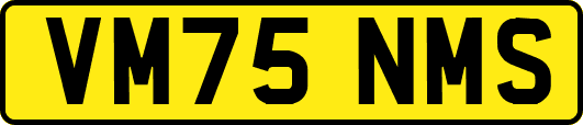 VM75NMS