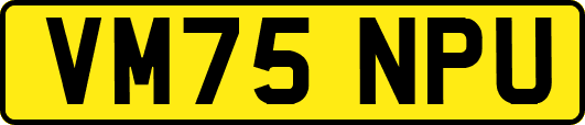 VM75NPU