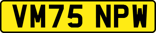 VM75NPW