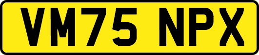 VM75NPX