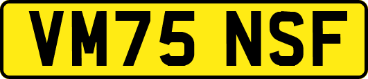 VM75NSF
