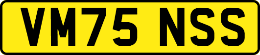 VM75NSS