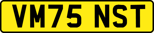 VM75NST