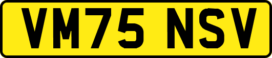 VM75NSV