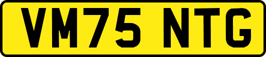 VM75NTG