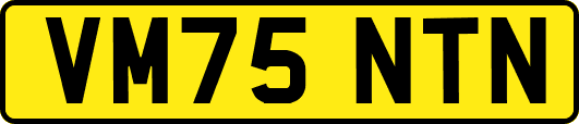 VM75NTN