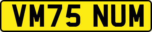 VM75NUM