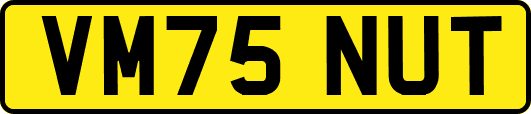 VM75NUT