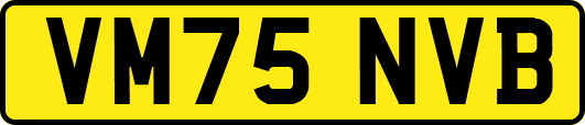 VM75NVB