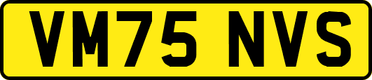VM75NVS