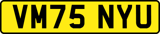VM75NYU