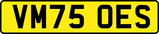 VM75OES