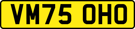VM75OHO