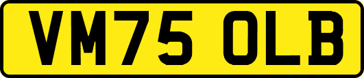 VM75OLB