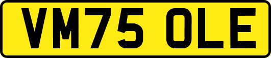 VM75OLE