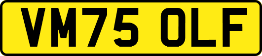 VM75OLF