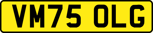 VM75OLG