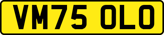 VM75OLO