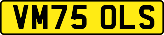 VM75OLS