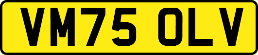 VM75OLV