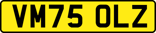 VM75OLZ