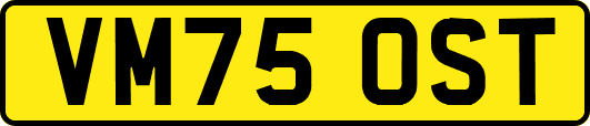 VM75OST
