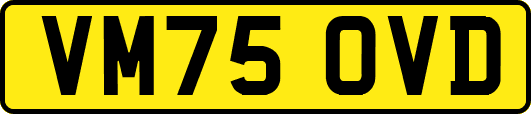VM75OVD