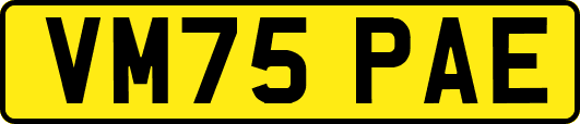 VM75PAE