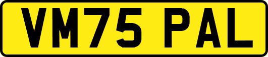 VM75PAL