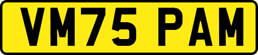 VM75PAM