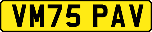 VM75PAV